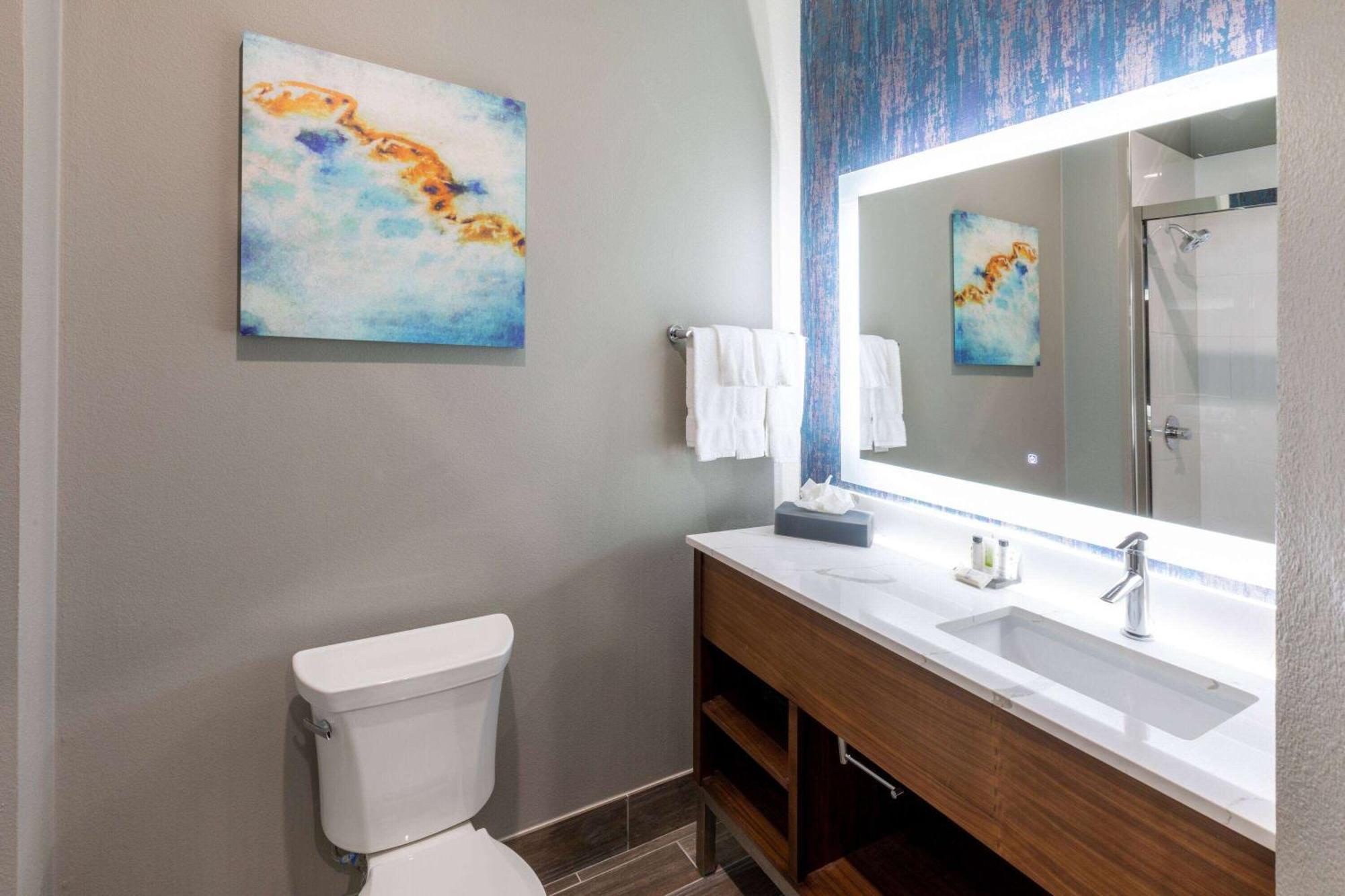 La Quinta Inn & Suites By Wyndham Dallas - Frisco Stadium ภายนอก รูปภาพ